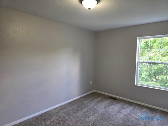 1311 Fitchland Ave, Toledo, OH 43606 - unfurnished room with carpet and baseboards