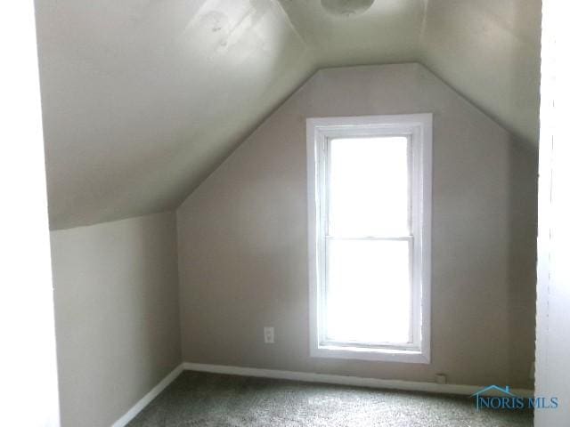 530 N Taft Ave, Ottawa, OH 45875 - bonus room with carpet floors and lofted ceiling
