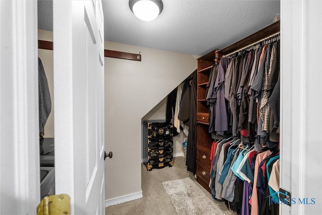 855 Strotz Dr, Toledo, OH 43612 - walk in closet with carpet flooring