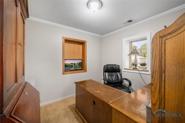 855 Strotz Dr, Toledo, OH 43612 - carpeted office featuring ornamental molding and a textured ceiling