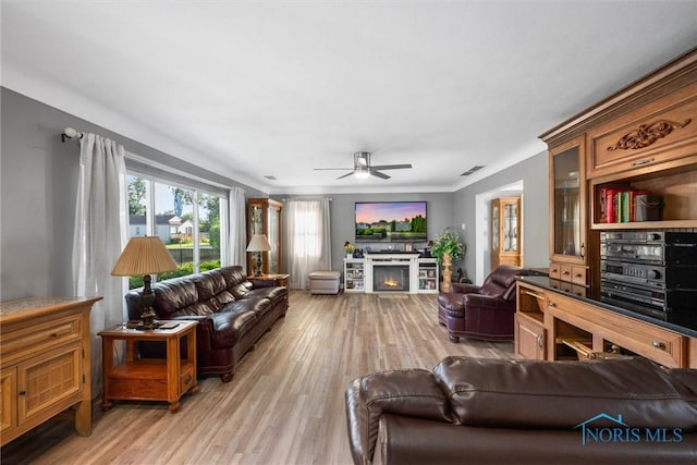 855 Strotz Dr, Toledo, OH 43612 - living room featuring light wood-style floors, a ceiling fan, and a warm lit fireplace