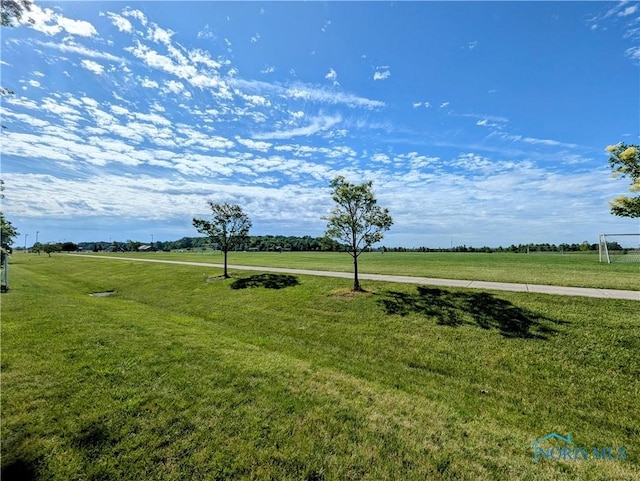 209 Hawthorn Dr, Archbold, OH 43502 - view of yard