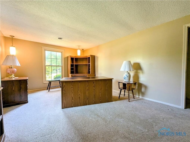 209 Hawthorn Dr, Archbold, OH 43502 - home office featuring a textured ceiling and light carpet