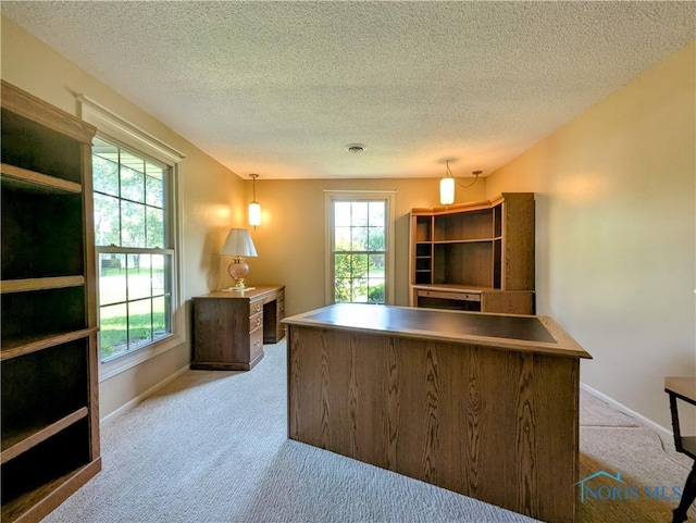 209 Hawthorn Dr, Archbold, OH 43502 - unfurnished office with carpet flooring and a textured ceiling