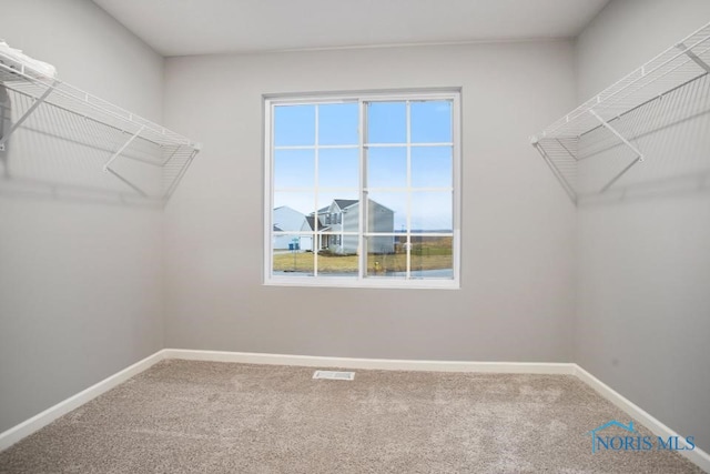 1515 Lee Ann Ave, Defiance, OH 43512 - spacious closet with carpet flooring