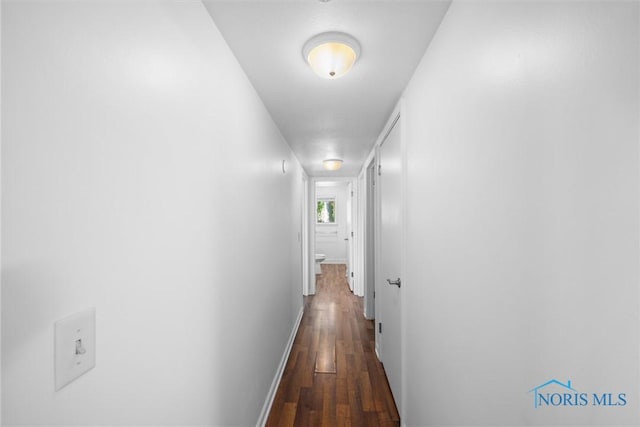 639 S Main St, Swanton, OH 43558 - hall featuring wood finished floors and baseboards