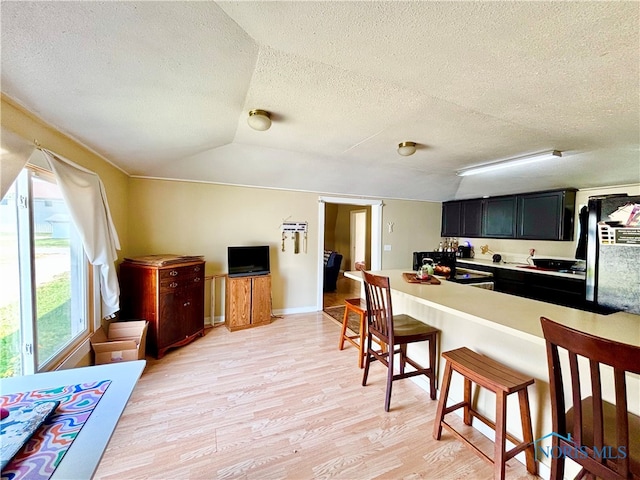 307 Spencerville St, Hicksville, OH 43526 - kitchen featuring dark cabinetry, a kitchen bar, a textured ceiling, light wood-style floors, and light countertops
