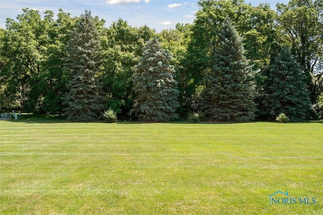 3763 Wrens Nest Blvd, Maumee, OH 43537 - photo 50