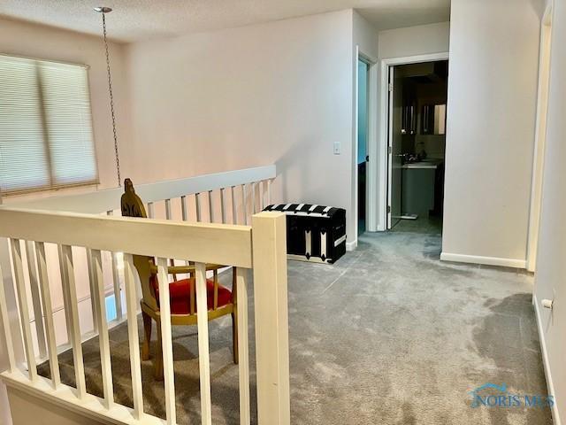 5015 Standing Timbers Ct, Toledo, OH 43623 - photo 35