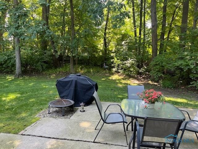5015 Standing Timbers Ct, Toledo, OH 43623 - photo 39