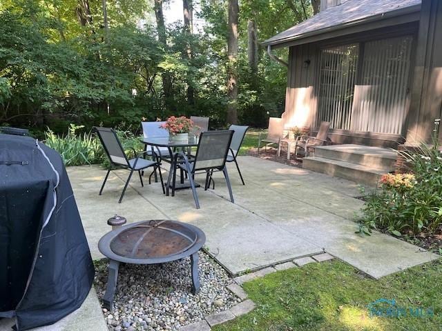 5015 Standing Timbers Ct, Toledo, OH 43623 - photo 40