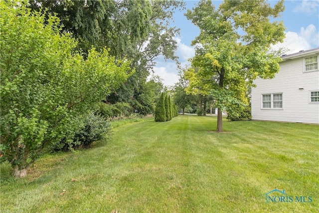 1010 Washington St, Genoa, OH 43430 - photo 45