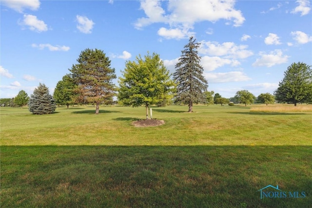 728 Fairway Dr Unit 11, Wauseon, OH 43567 - photo 29
