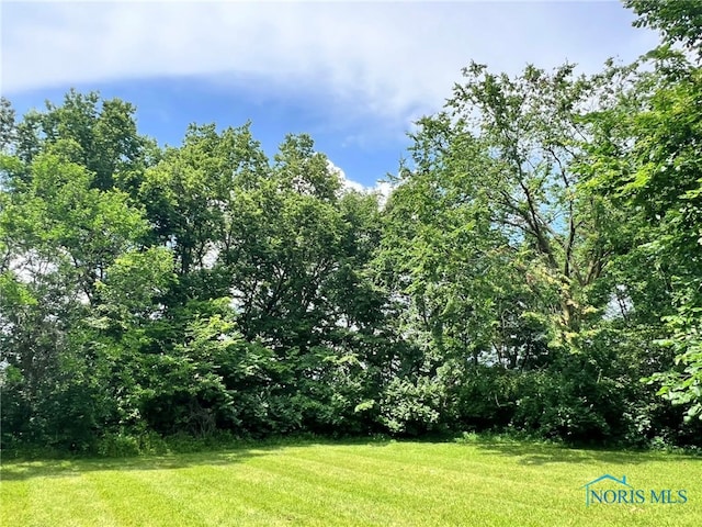 7780 Township Road 89, Findlay, OH 45840 - photo 10