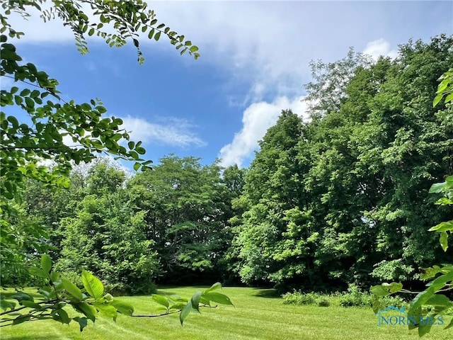 7780 Township Road 89, Findlay, OH 45840 - photo 11