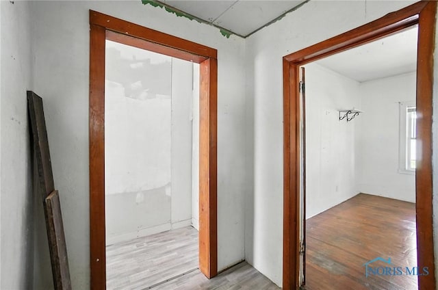 709 W Jackson St, Paulding, OH 45879 - hall with wood finished floors