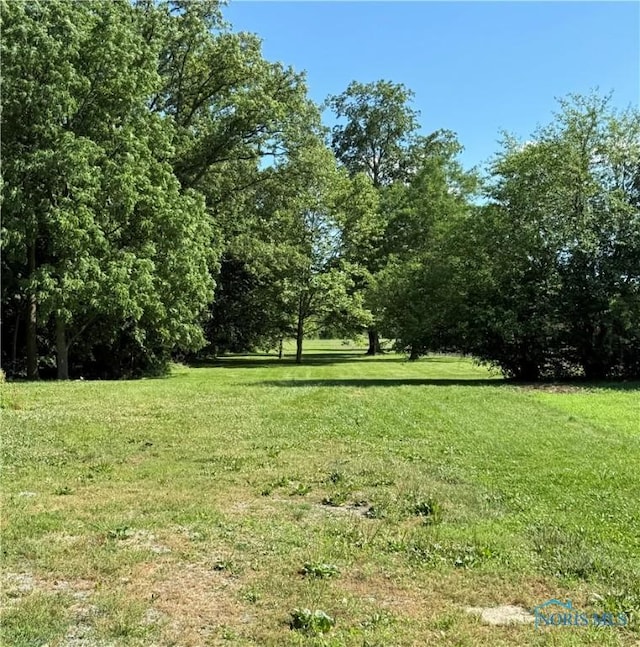 335 E N St, Mcclure, OH 43534 - view of grassy yard
