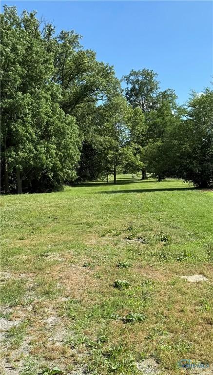 335 E N St, Mcclure, OH 43534 - view of grassy yard