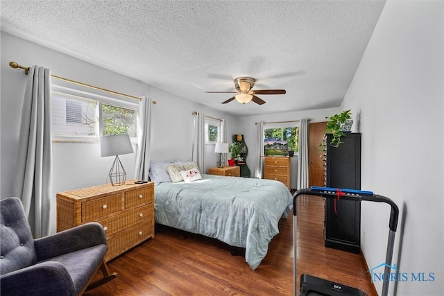 2958 Penrose Ave, Toledo, OH 43614 - bedroom with multiple windows, wood finished floors, a textured ceiling, and a ceiling fan