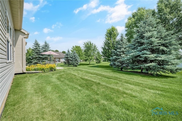 9665 Belmont Cir, Whitehouse, OH 43571 - photo 36