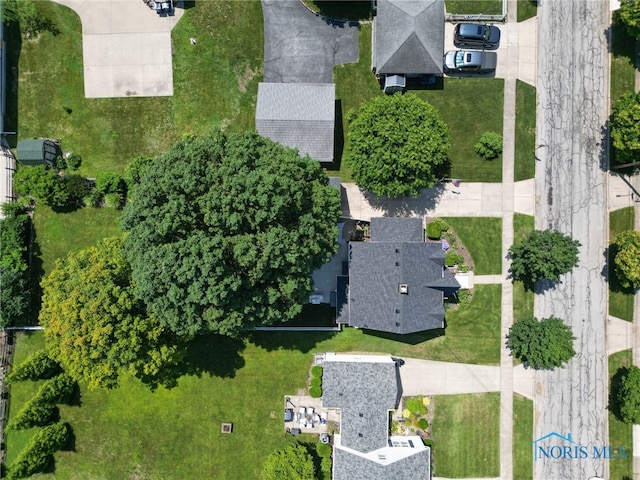 5818 Garden Park Dr, Sylvania, OH 43560 - photo 47
