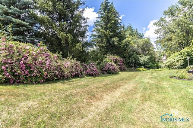 5303 Spring Crk, Sylvania, OH 43560 - view of grassy yard
