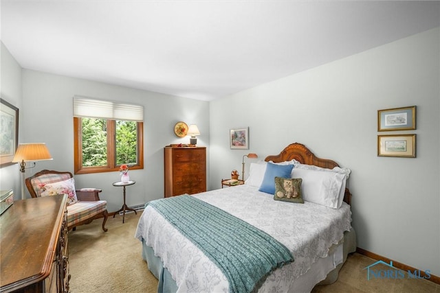 7118 Jamesford Dr, Toledo, OH 43617 - bedroom with carpet floors