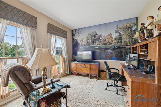 706 Grandview Ct, Elmore, OH 43416 - office area featuring plenty of natural light