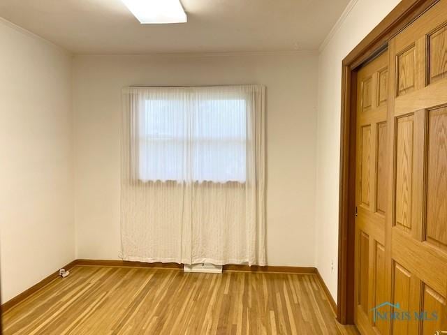 6621 Monclova Rd, Maumee, OH 43537 - photo 17