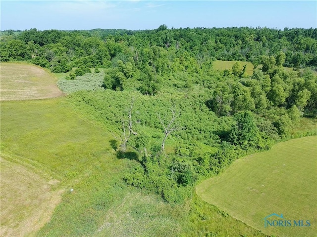 00 County Road 1-50, Edon, OH 43518