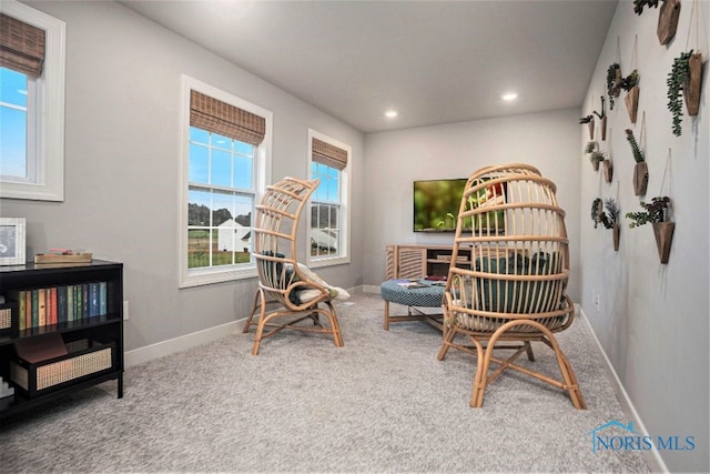 1492 Lee Ann Ave, Defiance, OH 43512 - living area with carpet and recessed lighting