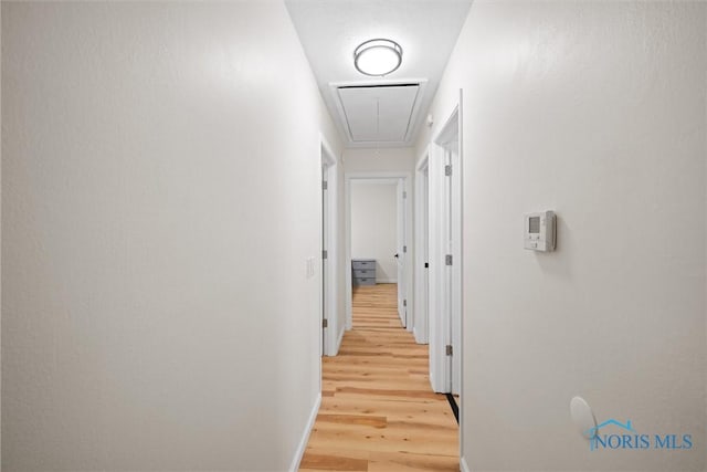 1118 Michigan Ave, Maumee, OH 43537 - hallway featuring attic access and light wood-style floors