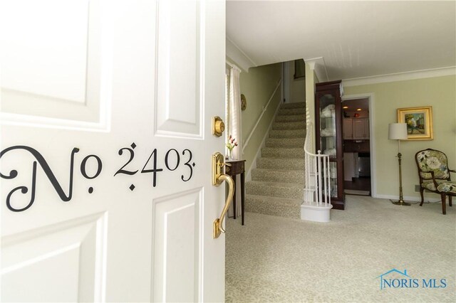2403 Hempstead Rd, Ottawa Hills, OH 43606 - staircase with carpet flooring and ornamental molding