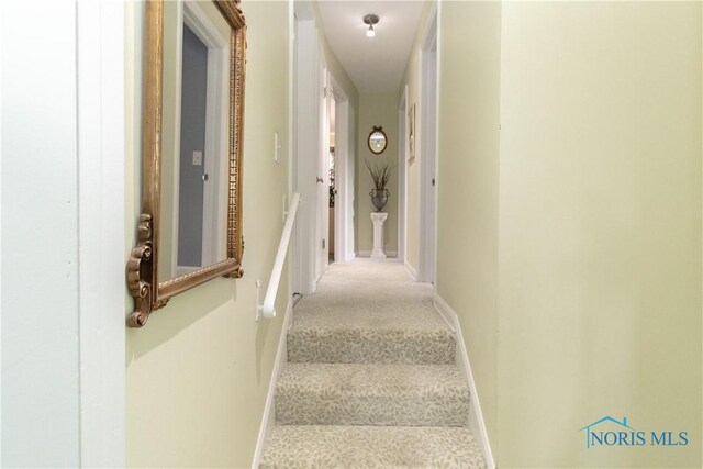 2403 Hempstead Rd, Ottawa Hills, OH 43606 - stairs featuring baseboards and carpet