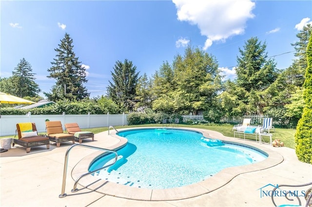 2403 Hempstead Rd, Ottawa Hills, OH 43606 - view of pool featuring a patio, a fenced backyard, and view of wooded area