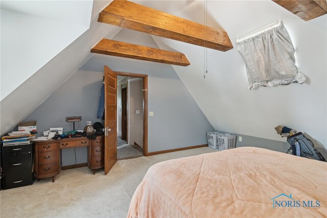 4427 County Road 19, Wauseon, OH 43567 - photo 32