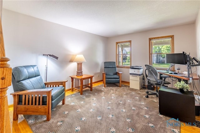 312 W Dudley St, Maumee, OH 43537 - view of office space