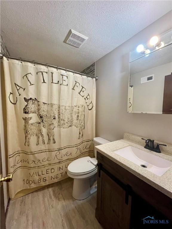 17988 Rd 156, Paulding, OH 45879 - bathroom featuring wood finished floors, vanity, a textured ceiling, and curtained shower