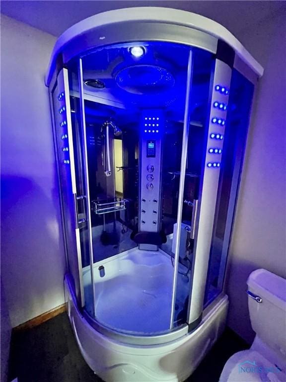 17988 Rd 156, Paulding, OH 45879 - full bath featuring toilet and a stall shower