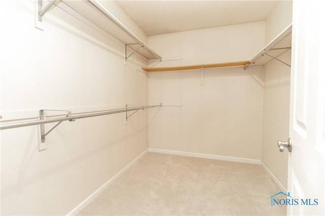 6842 Shieldwood Rd, Toledo, OH 43617 - spacious closet featuring light carpet