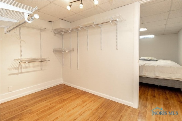 6842 Shieldwood Rd, Toledo, OH 43617 - spacious closet featuring a paneled ceiling and wood finished floors