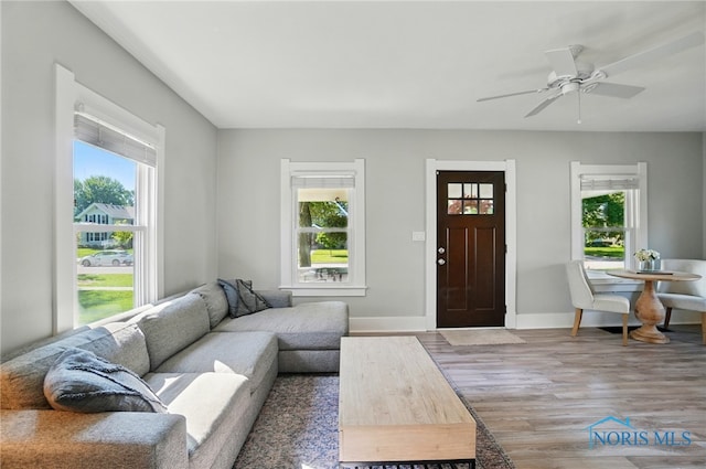 233 E 5th St, Perrysburg, OH 43551 - living room featuring healthy amount of natural light, wood finished floors, and ceiling fan