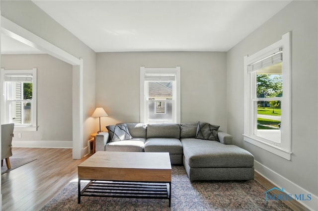 233 E 5th St, Perrysburg, OH 43551 - living area with wood finished floors and plenty of natural light