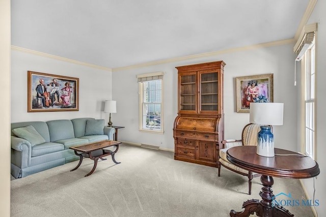 5941 Indian Trl, Sylvania, OH 43560 - carpeted living area with ornamental molding and baseboards