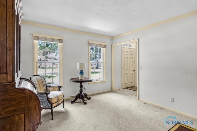 5941 Indian Trl, Sylvania, OH 43560 - sitting room with carpet and crown molding