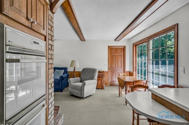5941 Indian Trl, Sylvania, OH 43560 - living room with beamed ceiling, carpet flooring, a textured ceiling, and a wainscoted wall