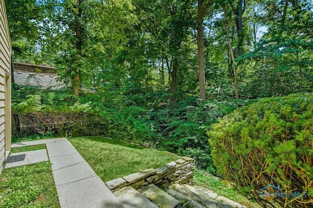 5941 Indian Trl, Sylvania, OH 43560 - view of grassy yard
