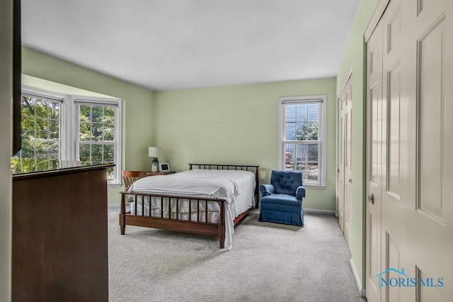 5941 Indian Trl, Sylvania, OH 43560 - bedroom featuring light colored carpet and multiple windows