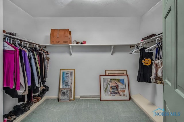 5941 Indian Trl, Sylvania, OH 43560 - spacious closet featuring carpet and a baseboard radiator