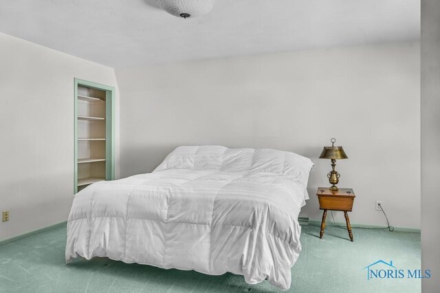 5941 Indian Trl, Sylvania, OH 43560 - bedroom with carpet flooring and baseboards